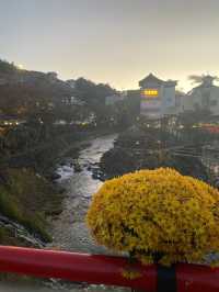 秋の修善寺！もみじに竹林、お寺を堪能