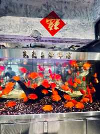 朱光玉火鍋館：深圳新晉排隊王，口碑爆棚！