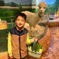 【 集玩樂動物園卡丁車的室內綜合樂園 】