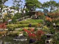 Traditional garden in Nara