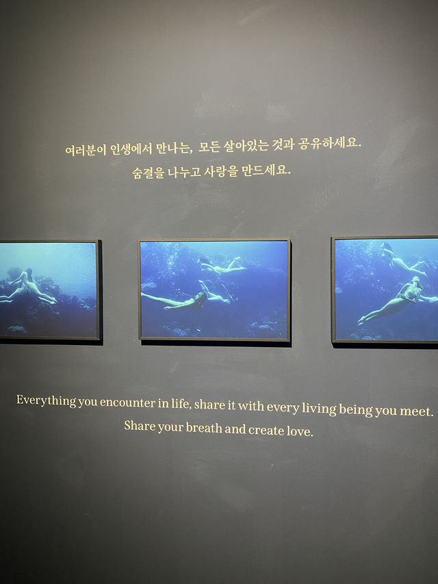 복잡했던 마음이 한결 편안해졌던 나탈리 카르푸센코 사진전