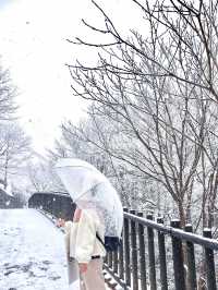 【東京JP】河口湖夢幻雪景 - 新倉山淺間公園