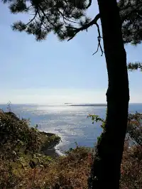 윤슬 위로 걷는 찬란함, 송악산 둘레길