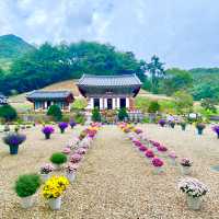 통일신라때 세워진 보석 같은 금산의 절 -  보석사