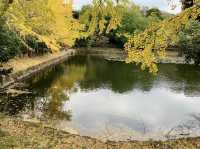 Mitsuike Park