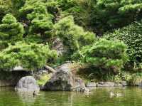 Matsukawa Park