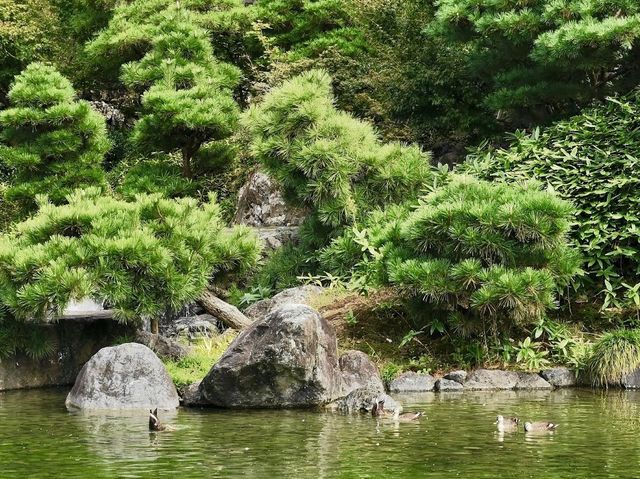 Matsukawa Park