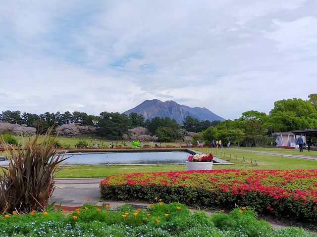 Yoshino Park kagoshima