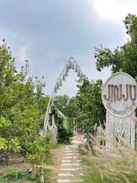 🍊 JINJU the orange farm - สวนส้มจินจู 🍊🧺🌳   🌳