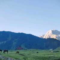 Sonamarg - "Switzerland" in India