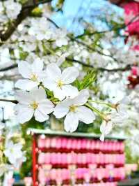 【居木神社/東京都】花散る桜吹雪が美しい神社