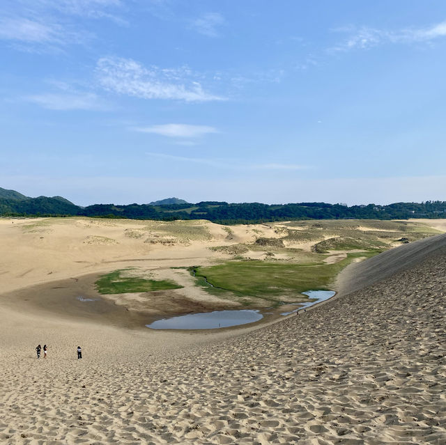 【日本鳥取】鳥取沙丘和砂之美術館：大自然和雕刻的鬼斧神工