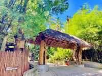 Jungle Club