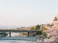 นั่งชิลยามเย็นที่ Kamo River เมืองเกียวโต