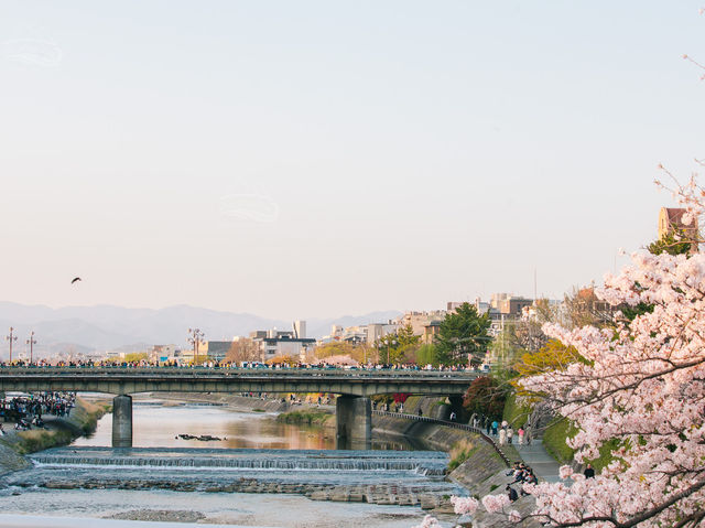 นั่งชิลยามเย็นที่ Kamo River เมืองเกียวโต