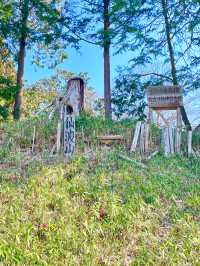 【仙波日枝神社/埼玉県】赤坂の日枝神社の本社