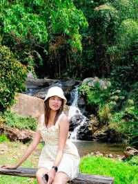หนีร้อนเที่ยว น้ำตกภูสอยดาว 