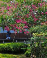 Beautiful temple with autumn foliage