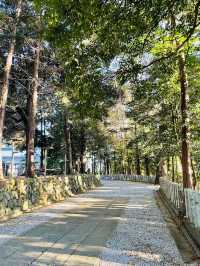 【出雲伊波比神社/埼玉県】柚子の町と流鏑馬の神社