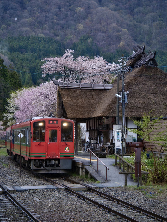 【福島・桜】全国でも希少✨日本の風情感じすぎる桜スポット🌸※周辺観光情報付き