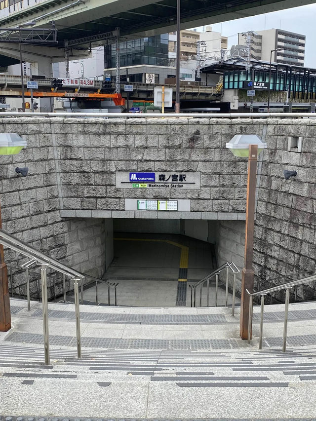【2024年桜】満開前日の森ノ宮駅側