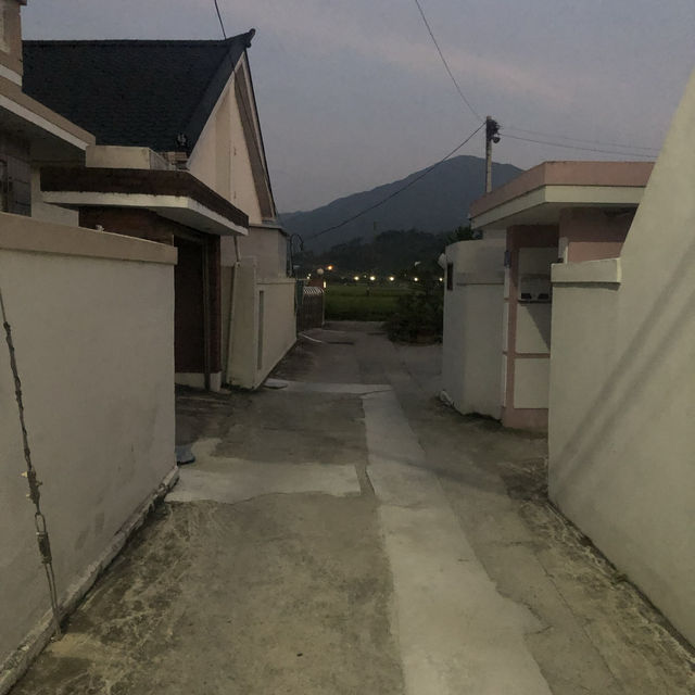 홍성