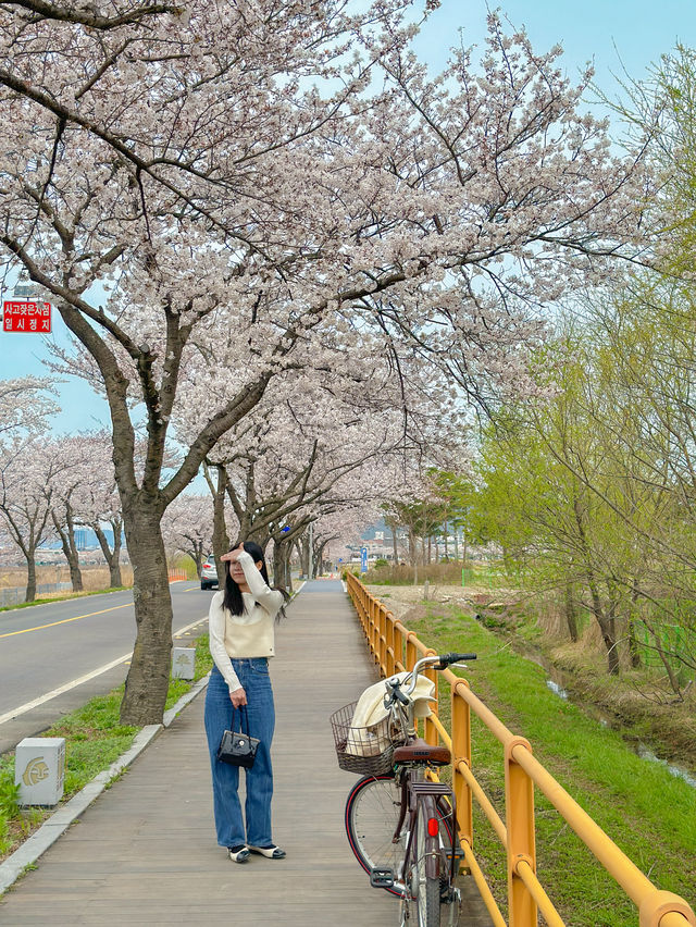 경주에 간다면 꼭 자전거 여행 해주세요🌸💖