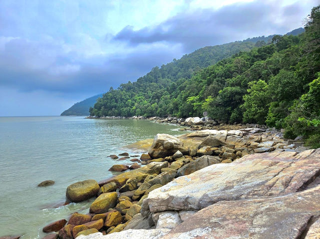 Penang National Park 