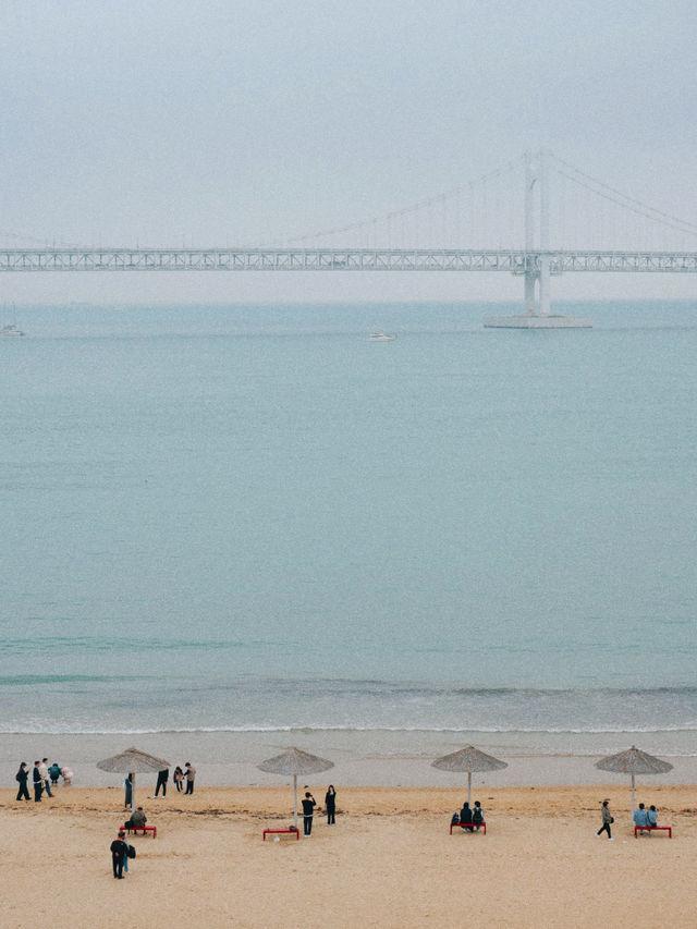 🌸 광안리 삼익비치 아파트, 벚꽃 구경 🌸