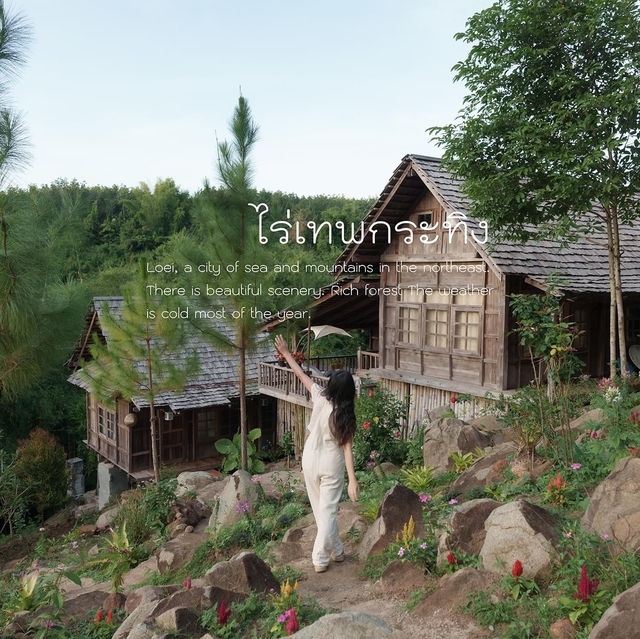"ไร่เทพกระทิง" ⛰️🌲🍃
