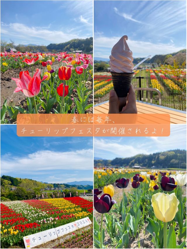 【大分/豊後大野】これが！東洋のナイアガラ！
