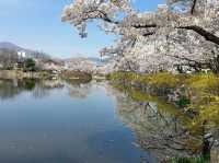 Stunning Yeonhwaji Park