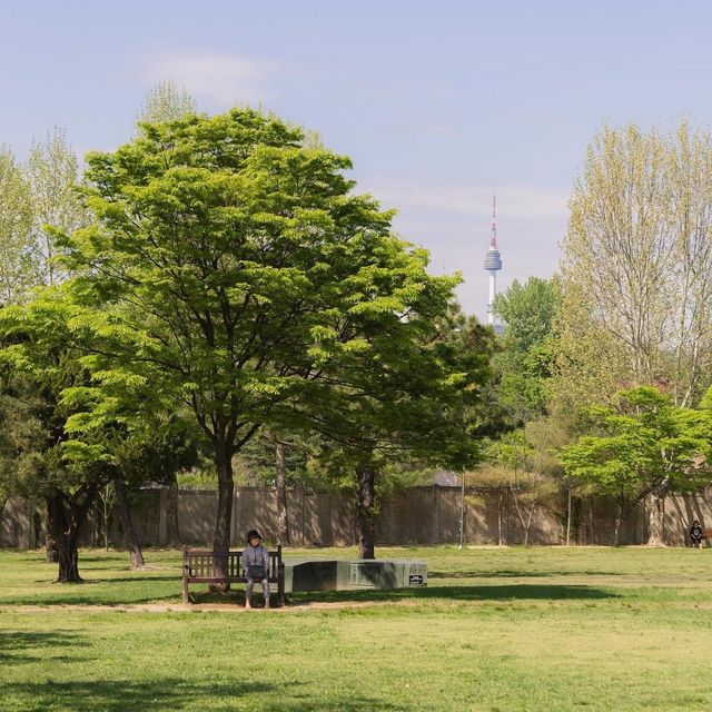 Seoul’s Green Oasis