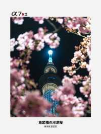 【雑誌風】東京スカイツリーおすすめ写真スポット4選！FOCUS Vol.001