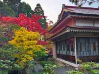 日本北海道-宛如明信片般的楓紅詩意：梅村庭園