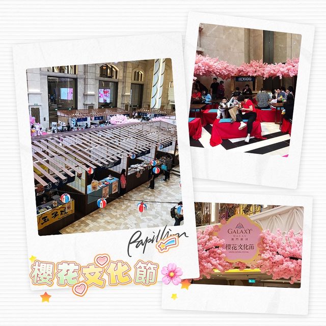 五一黃金周好去處🌸樱花之旅