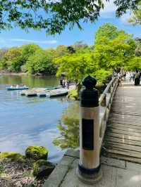 【奈良県】水面に浮かぶ六角形の美しいお堂