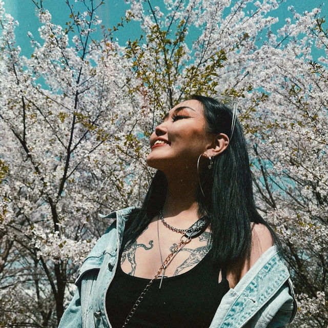 🌸LOST IN SAKURA🌸