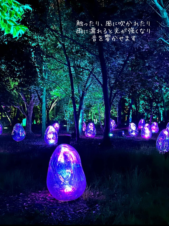 大阪】自然とART 野外ミュージアム チームラボ🌳ボタニカルガーデン