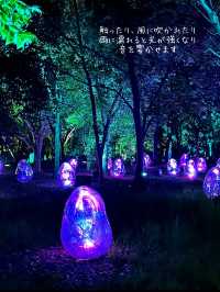 【大阪】自然とART 野外ミュージアム チームラボ🌳ボタニカルガーデン🌳