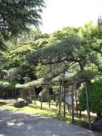 【東光寺/東京都】龍神のいる神仏習合の名残りある寺院