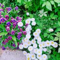 南山戶外植物園：綠意盎然