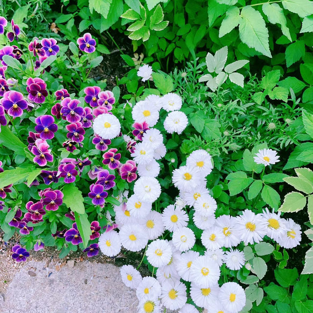 南山戶外植物園：綠意盎然