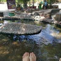 Mae Khachan Hot Spring - Chiang Rai