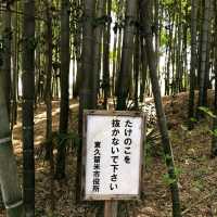 The Takenoko Park