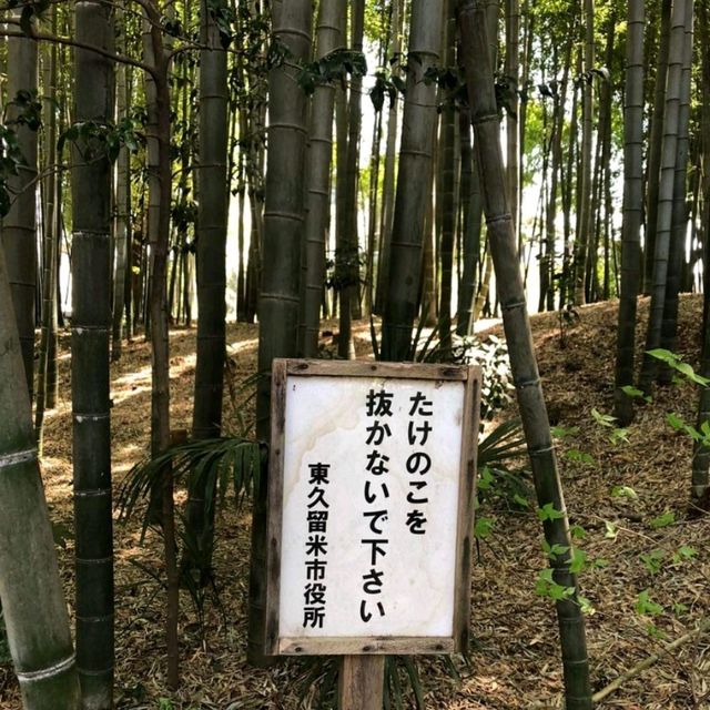 The Takenoko Park