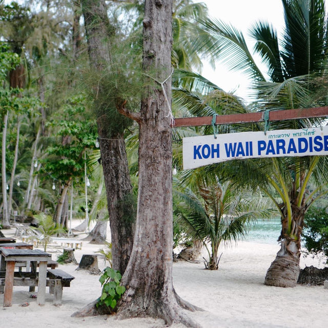 🏝 ติดเกาะที่ไม่มีไฟฟ้า แต่น้ำทะเลสวยมาก