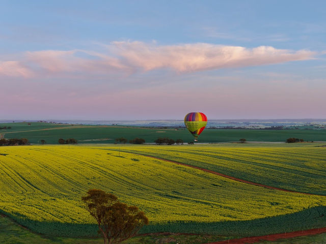 Windward Ballooning Perth (Avon Valley)