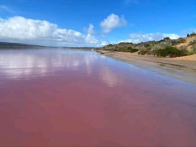 「西澳粉紅湖」27日會員日免費換貴賓室，享受機場貴賓室服務