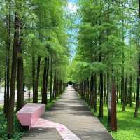 ```東湖公園～適合放鬆的綠色勝地```